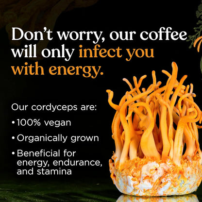 Four Sigmatic Focus Max High Caffeine Cordyceps Coffee | Organic Dark Roast High Caffeine Ground Coffee with Cordyceps, Lion's Mane and B12 | Energy Booster Without the Jitters | 10oz Bag